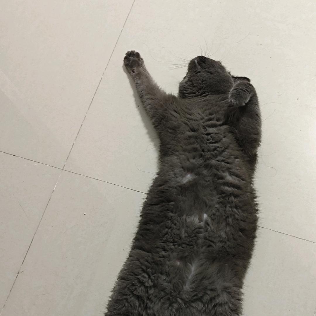 啵啵脆丶