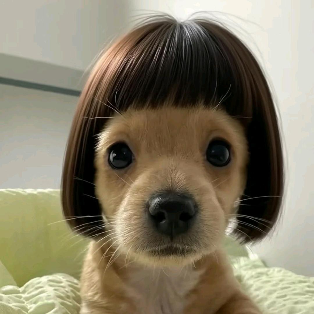Lu_M