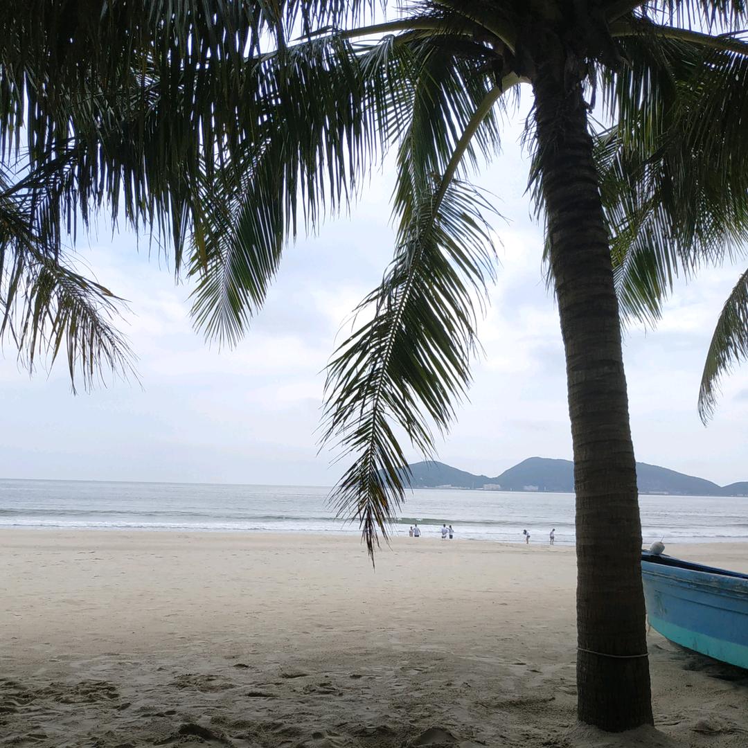 🐼*天空之城*🐼