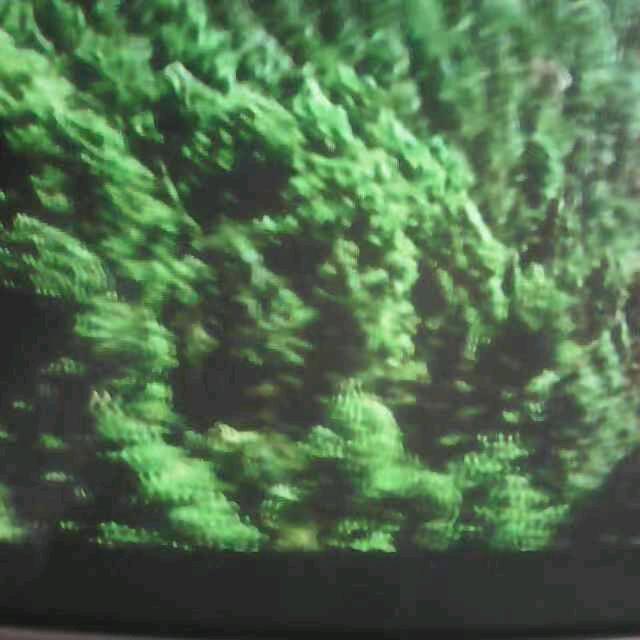 康庄大道