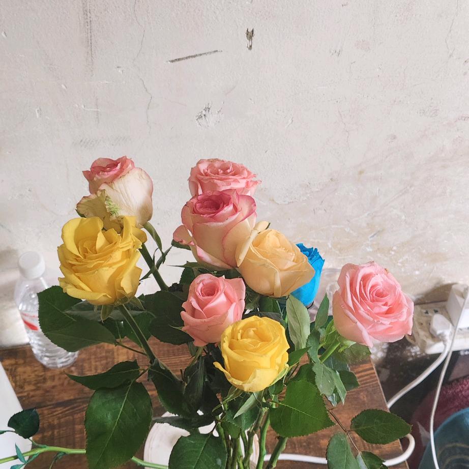 哔哔叭叭哔哔叭叭。