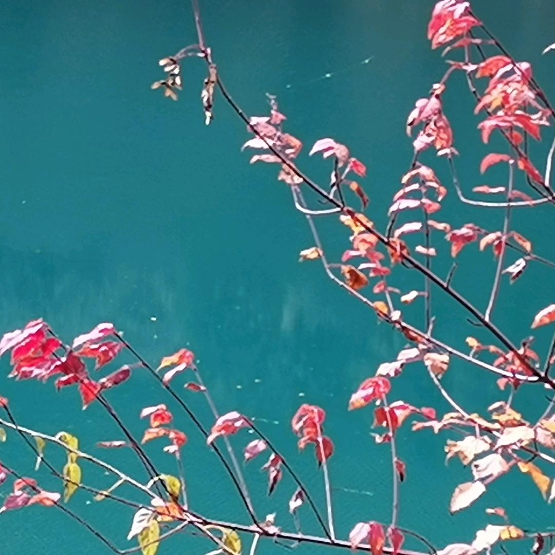 流水年华