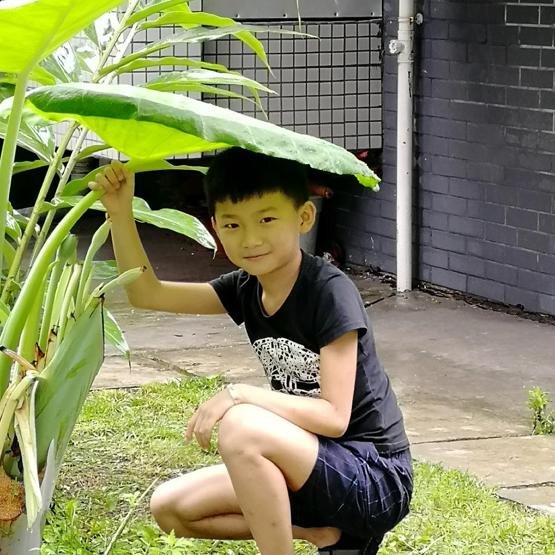 🌈二哥不上头🌈