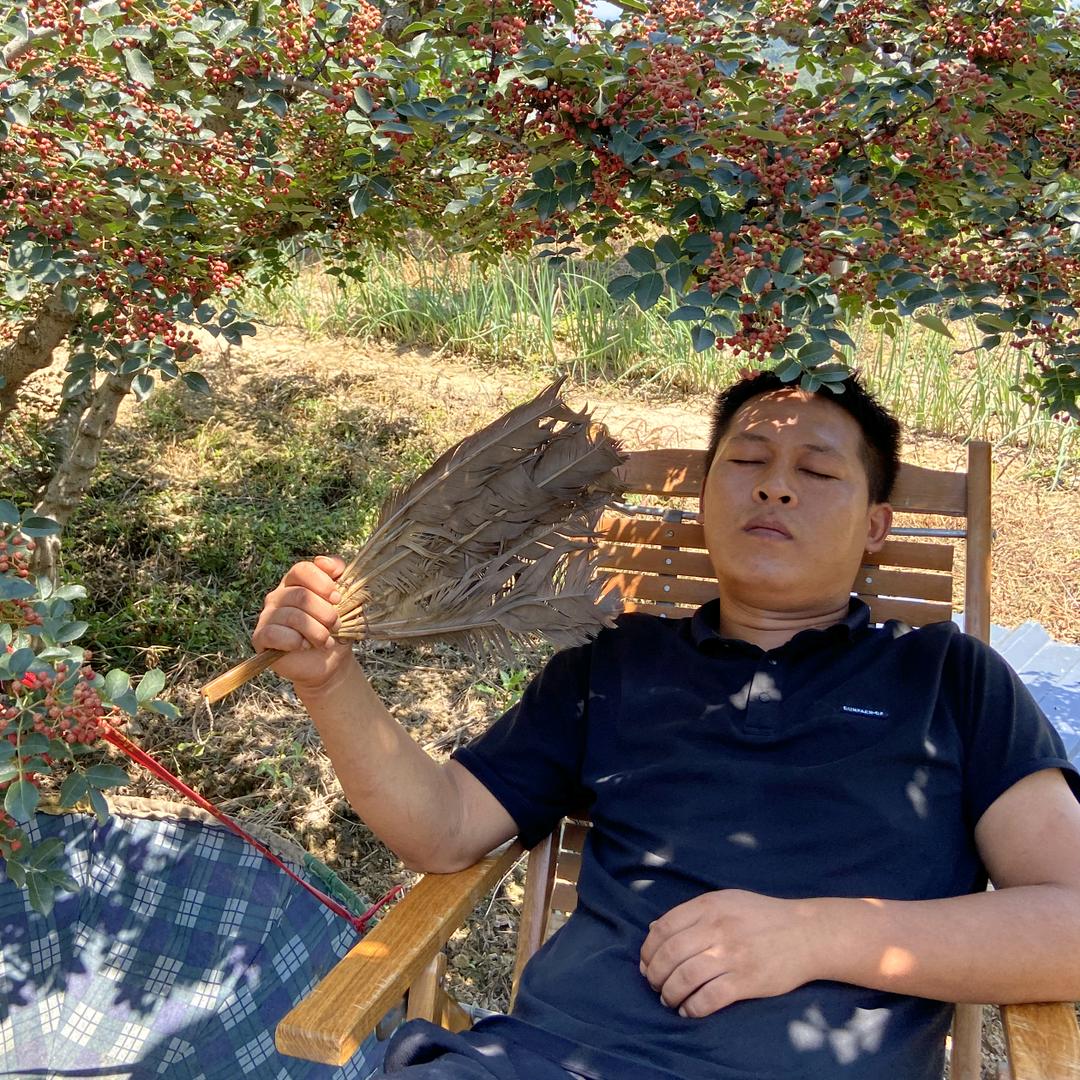 富平大秦之恋蔬菜挂面厂