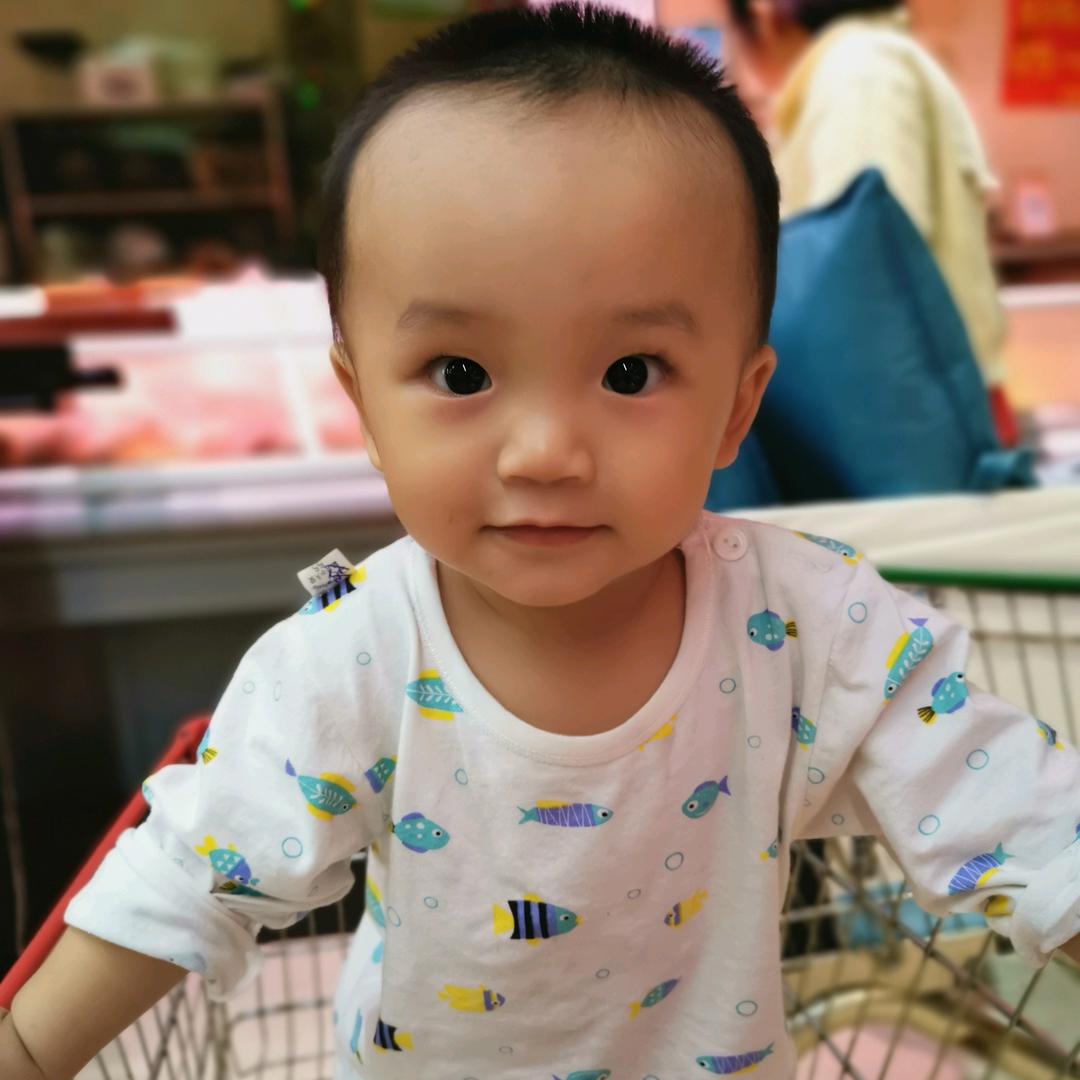 没有一个春天不会来临