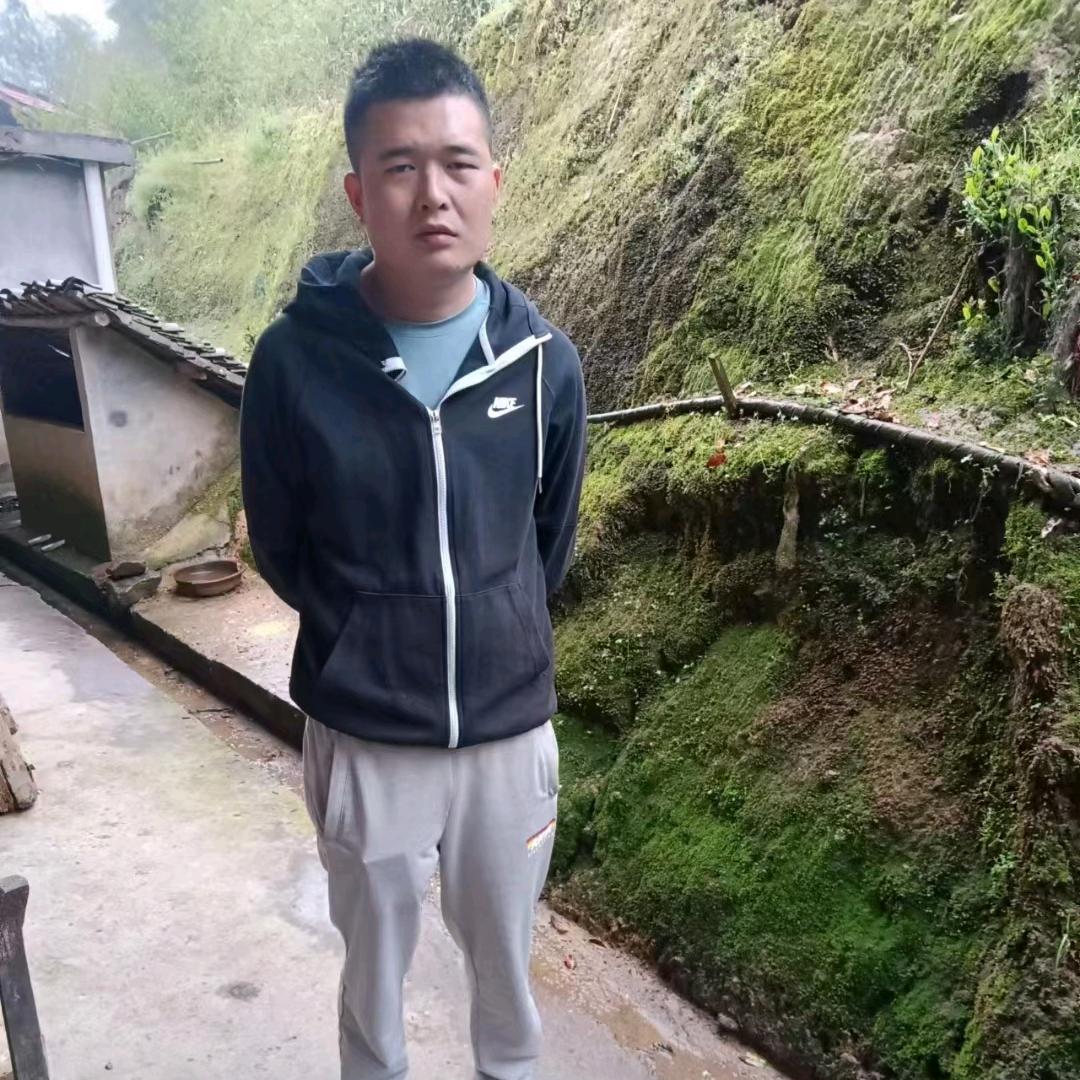 再见理想