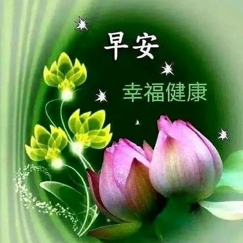 宝貝不哭