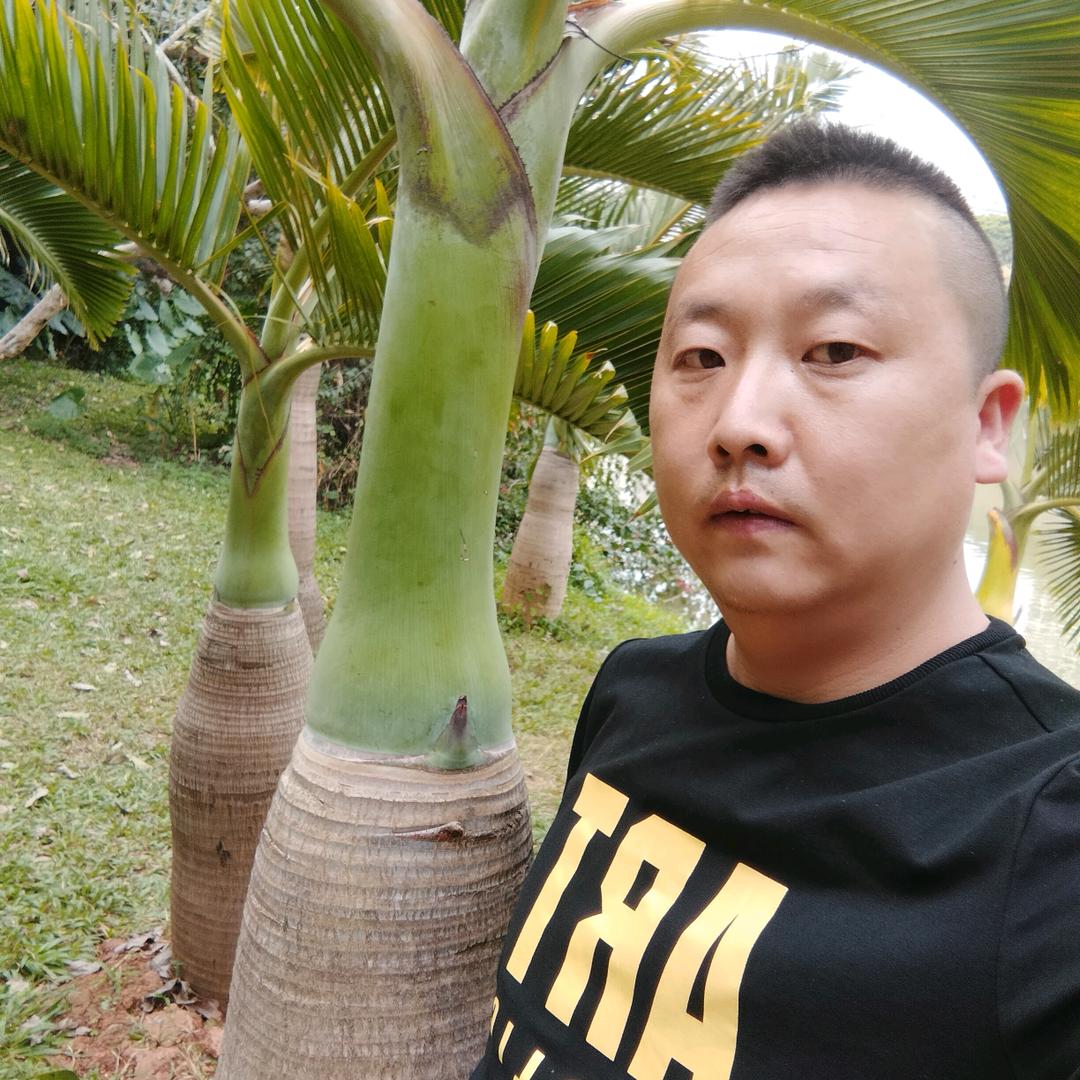 凯凯
