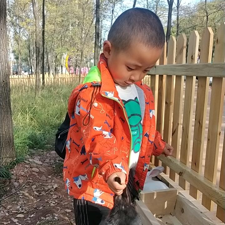 业余人生