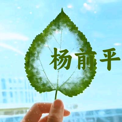 小杨