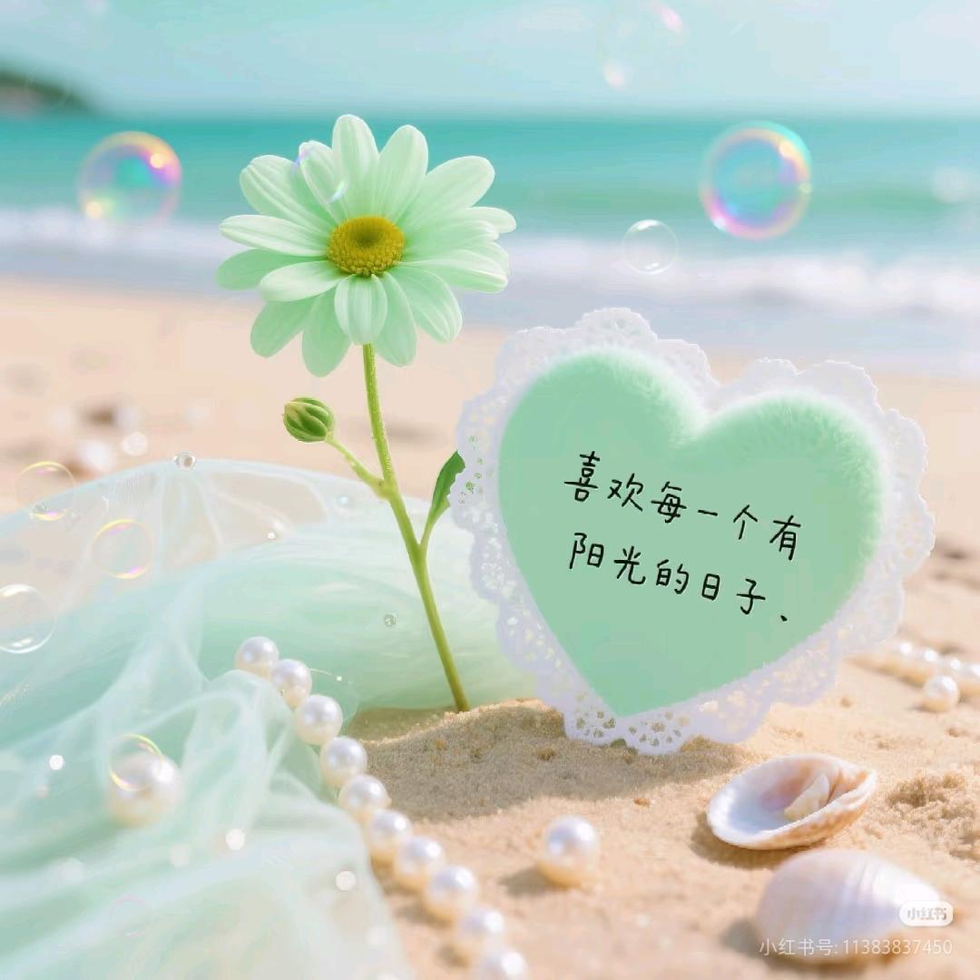 ಢ᭄岁月🍒静好ಢ᭄