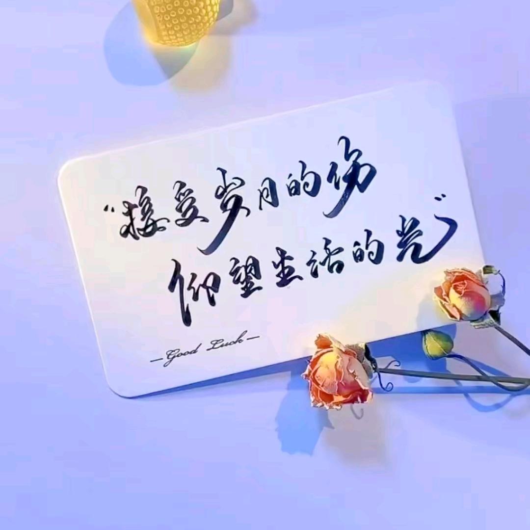 💞单身女王💞