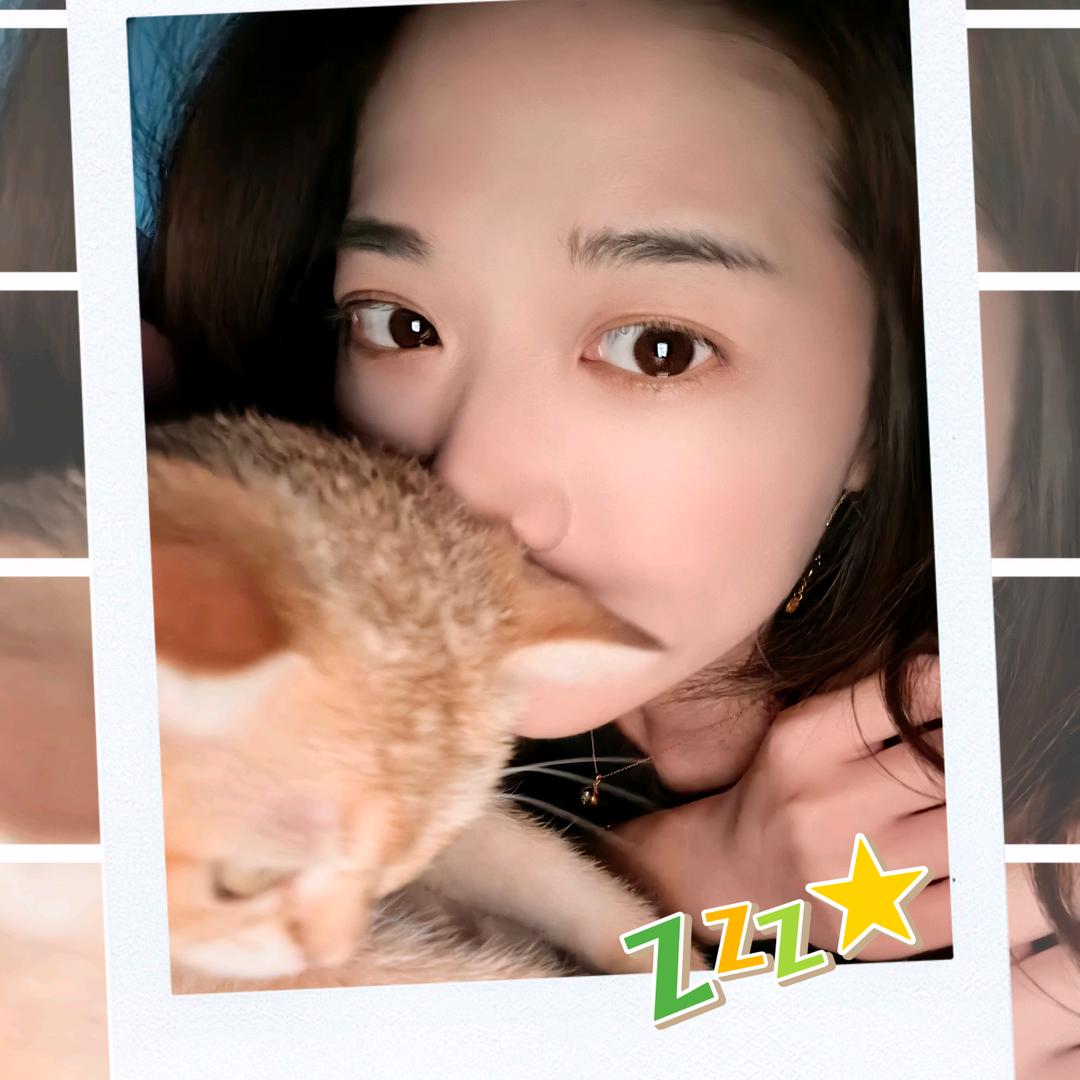 🐈出桃🍑公主