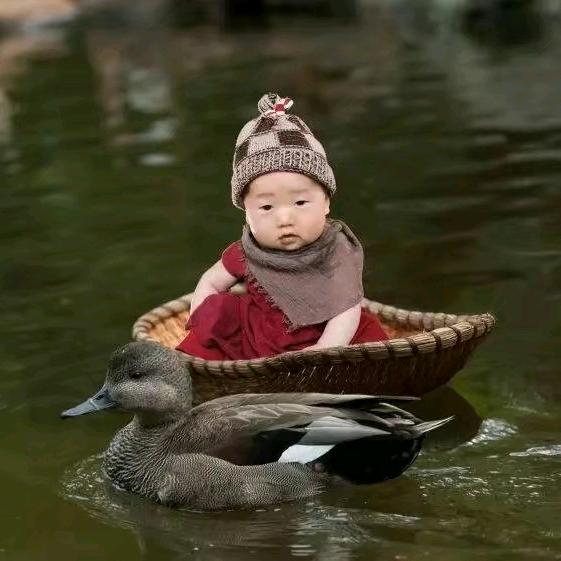 ꧁飛ꦿ鎶᭄꧂ꦿ࿐໌້ᮨ