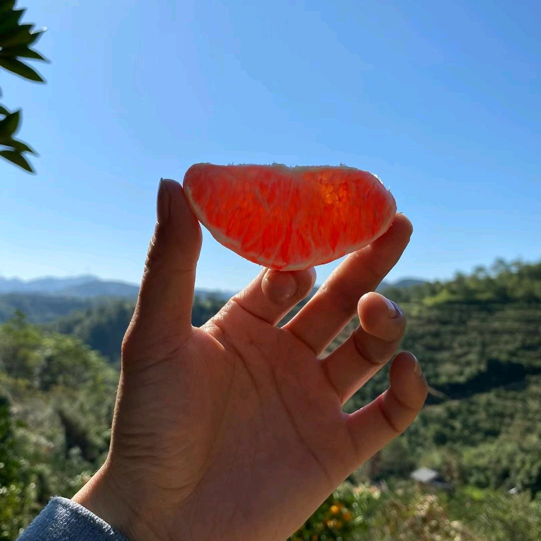 刘庭豪