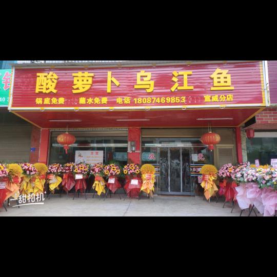 酸萝卜乌🐟江鱼沈婕