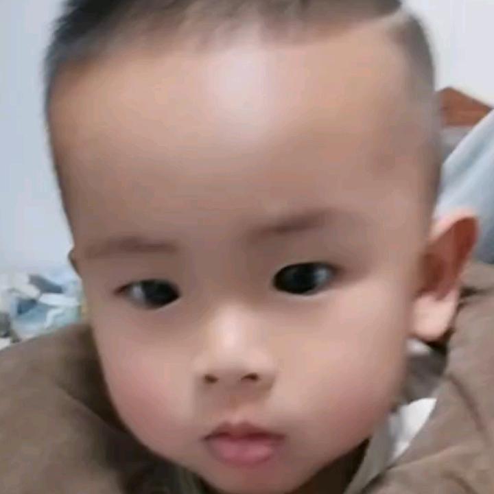 刘聿安