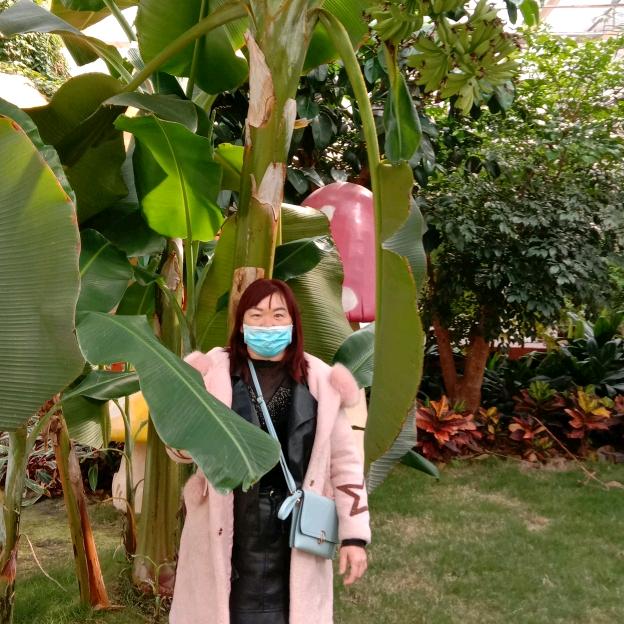 闫学菊