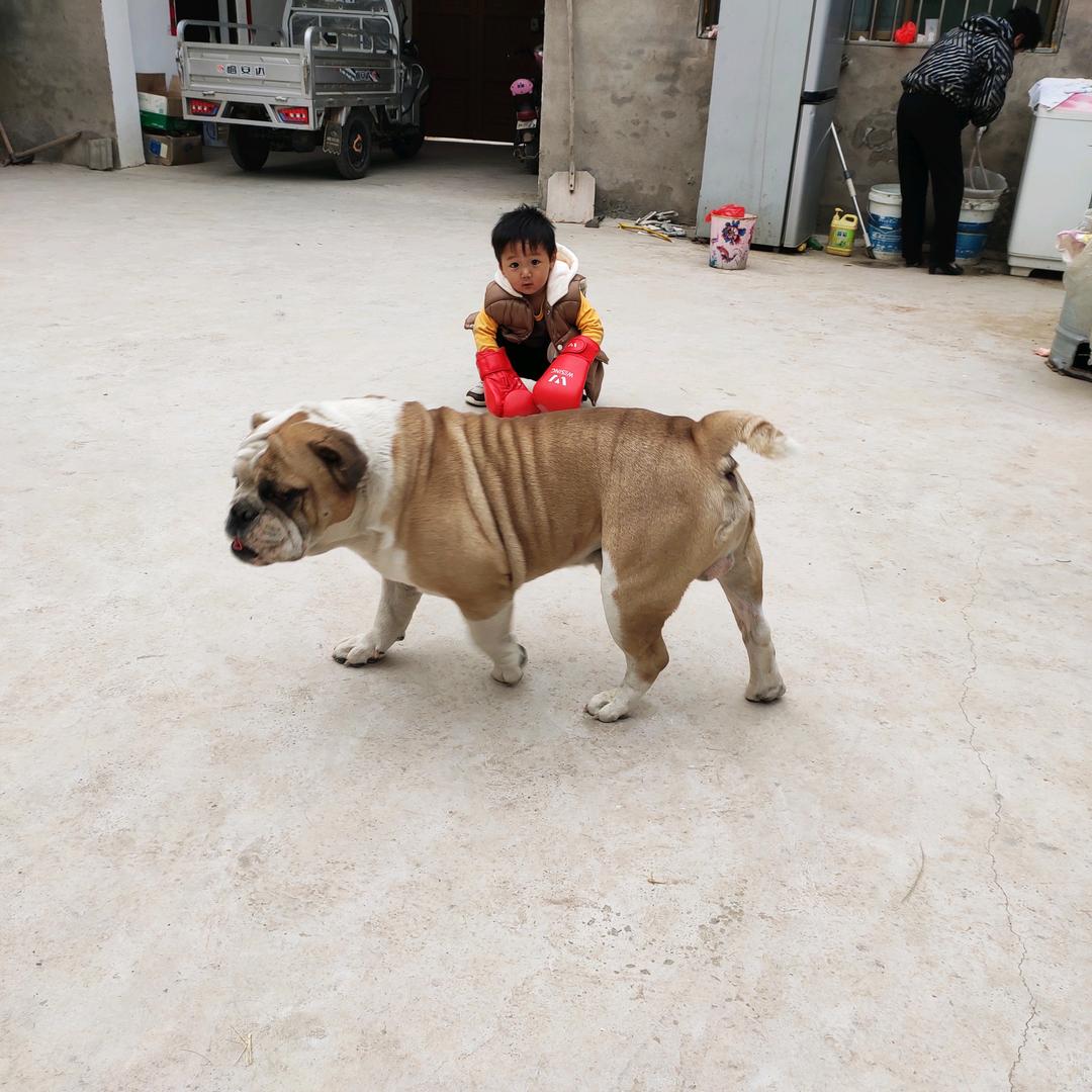 三少