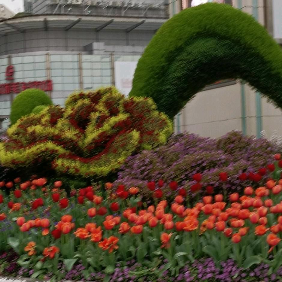 吴