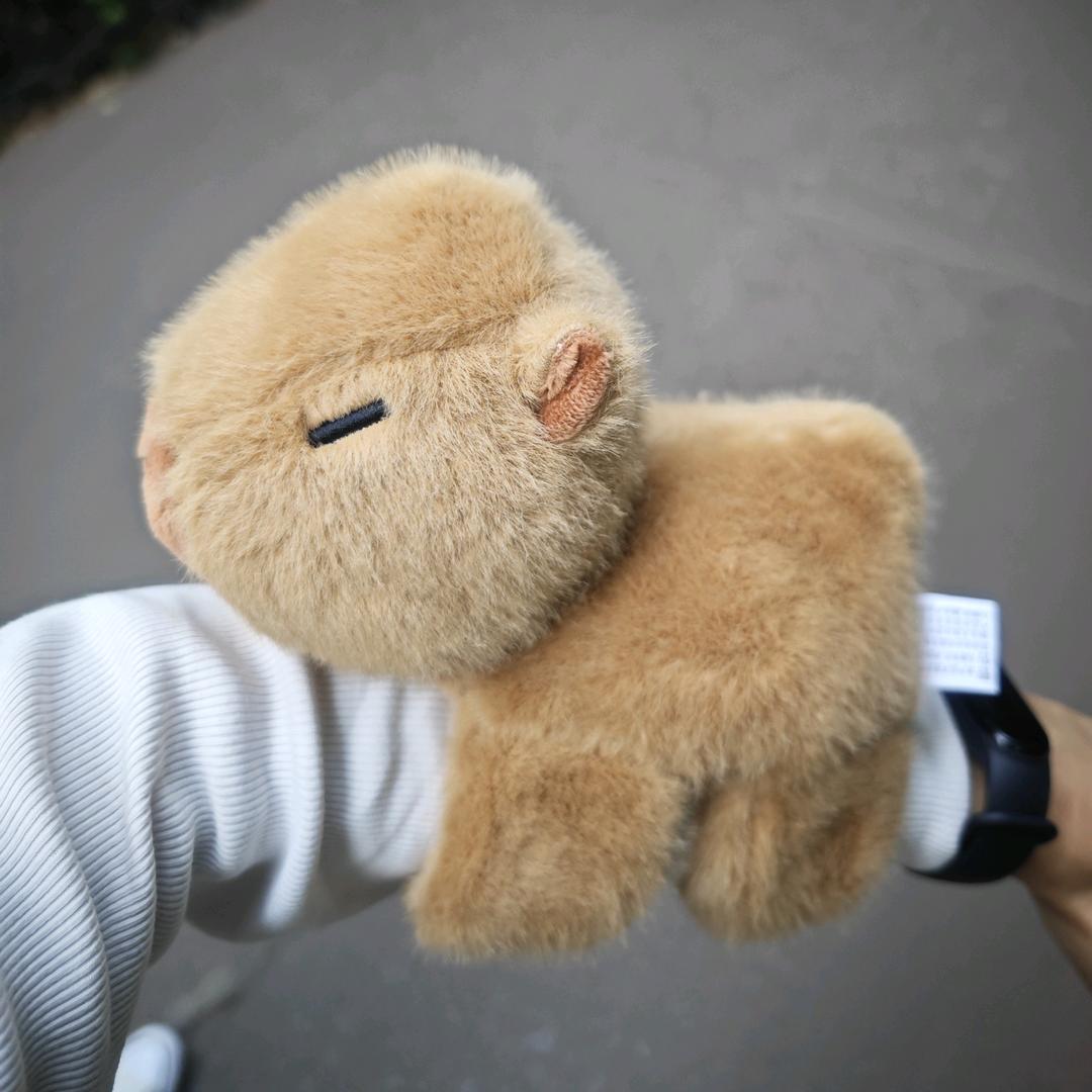 北方雄鹰（深情专一）