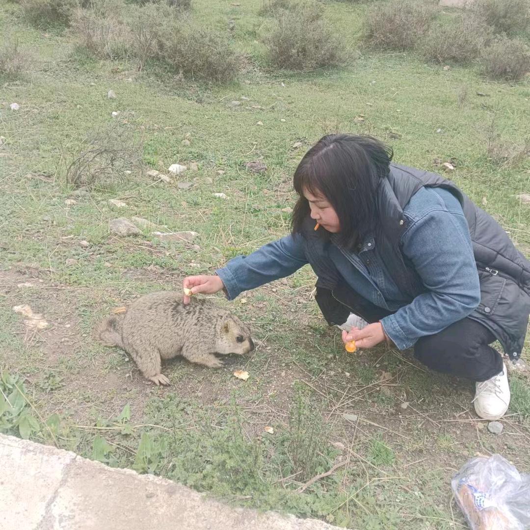 难得糊涂