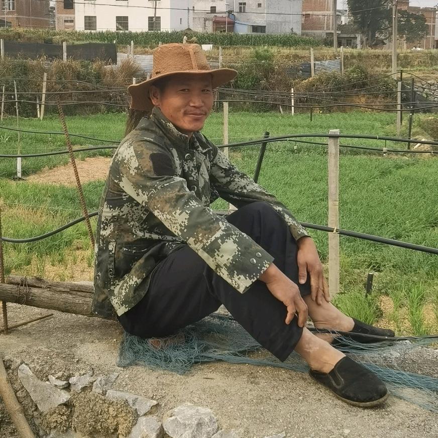 生死看淡