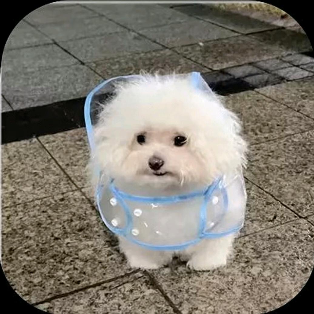 不哭(需要点单陪玩在主页)