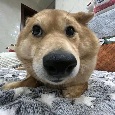 漂亮的女孩