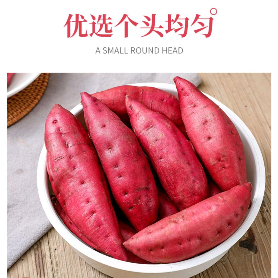 阿琛农产品直发