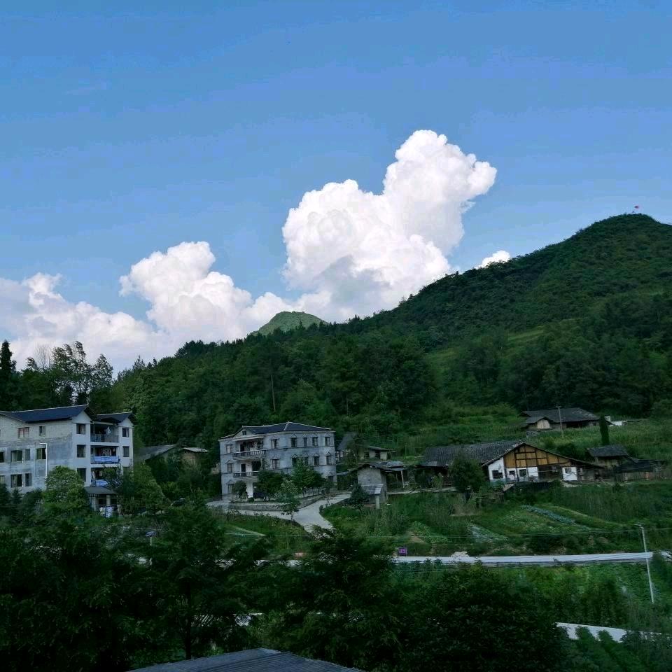初中毕业