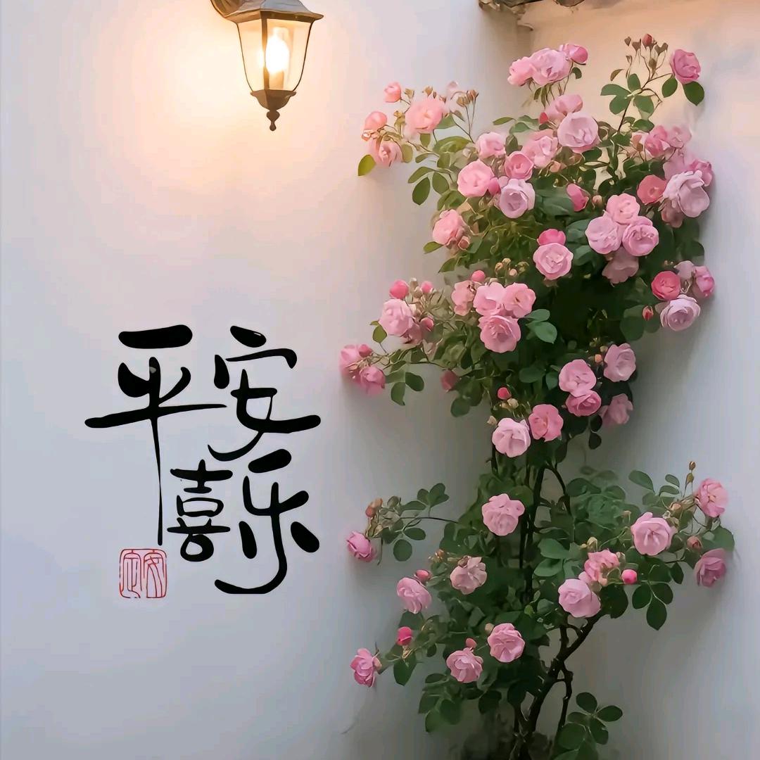 知彼知己②