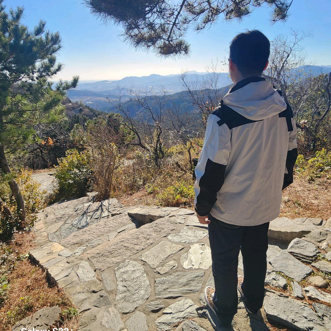 哲学系在逃野马