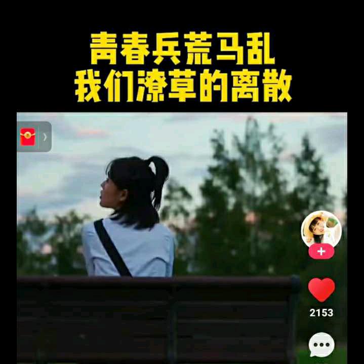 橘子汽水6