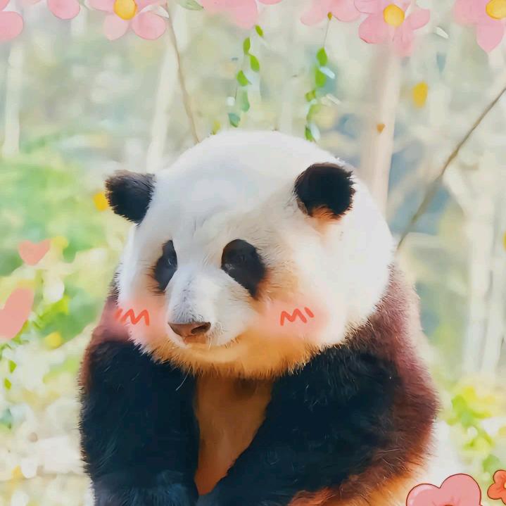 Sⅈꪀᧁꪶꫀ