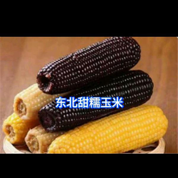 远方好物推荐