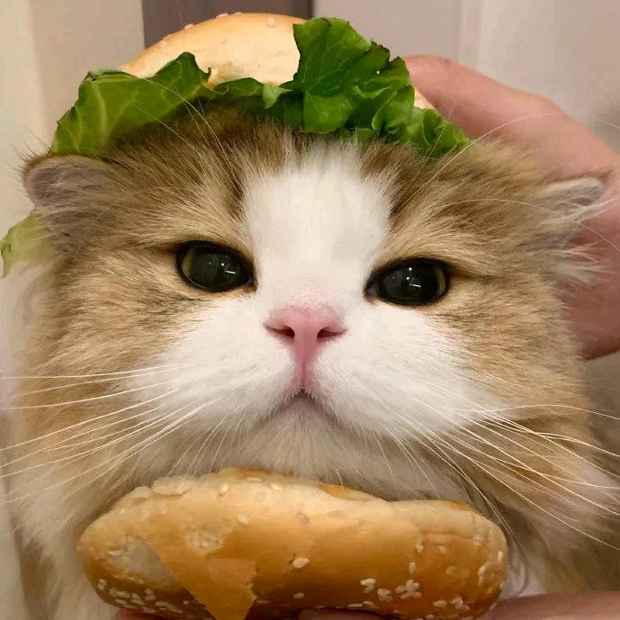 瑾禾
