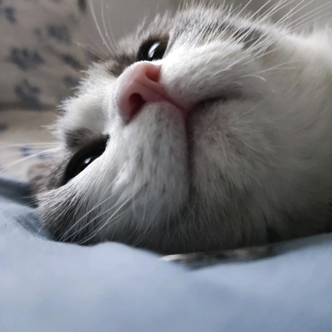 冬季我的鼻子应该是被冻红的