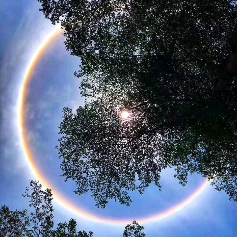 大自然的搬运工