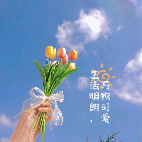 荥经通讯营业厅