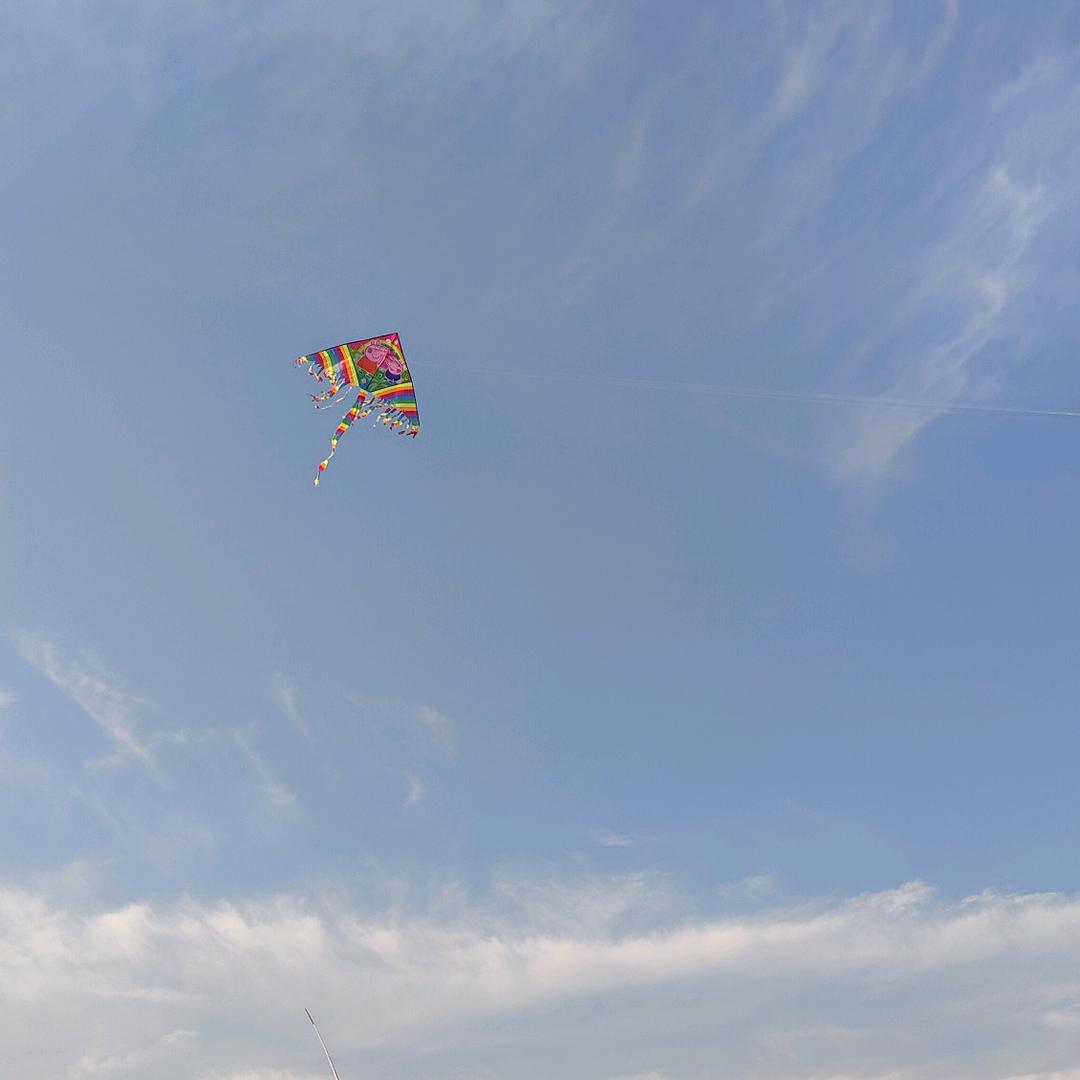 ℋᵅᵖᵖᵞ♡ᵕ̈