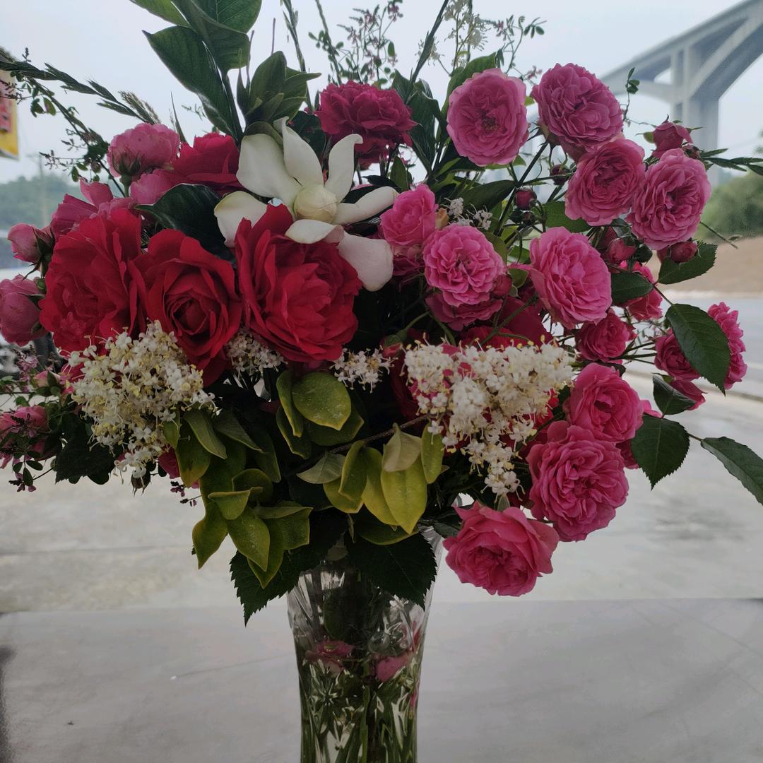 静待花🌸🌸开