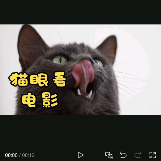 猫眼看电影