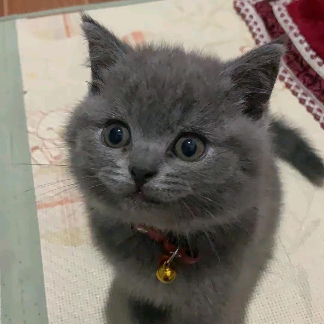 姑苏故里长安