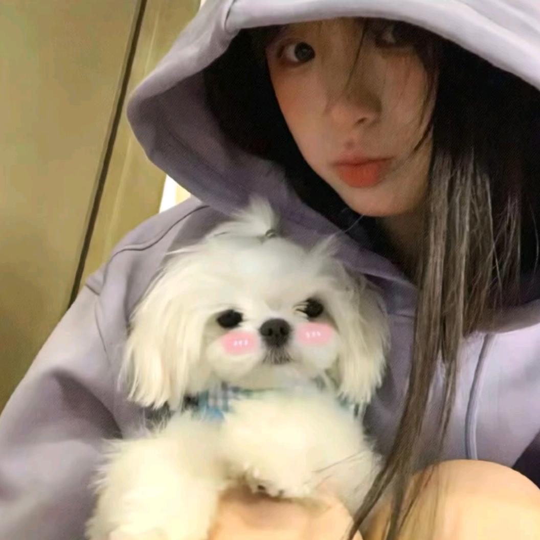 煮雨糯（恩师大板牙