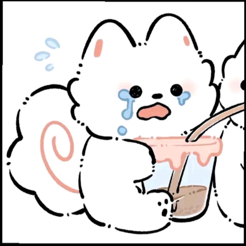 黑白猫猫不哭