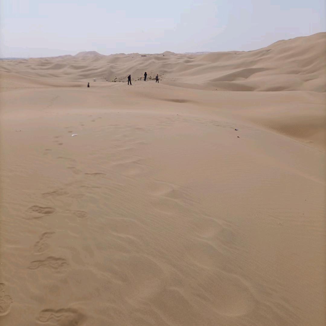 🌊大漠—神鹰🌊