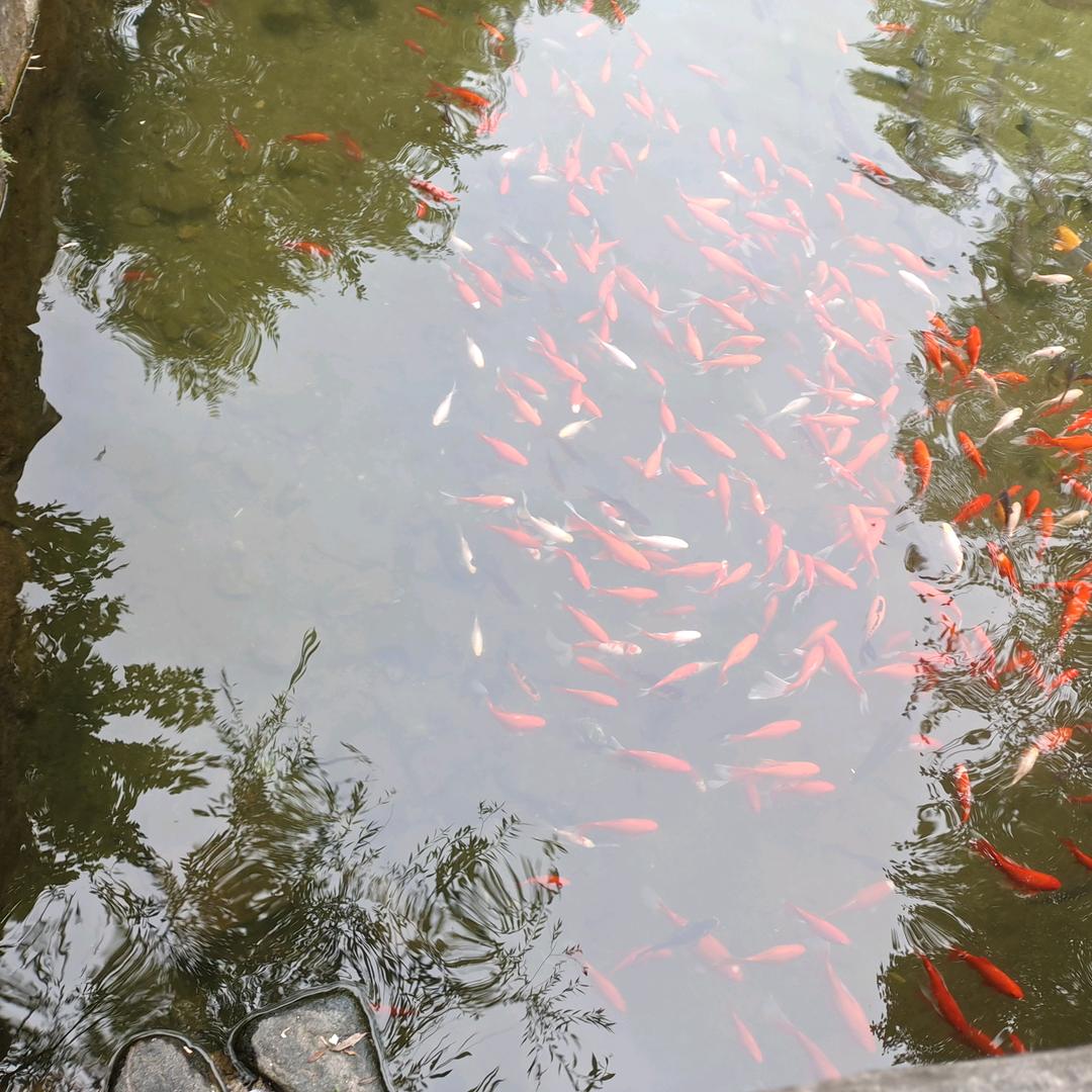 家是爱的港湾