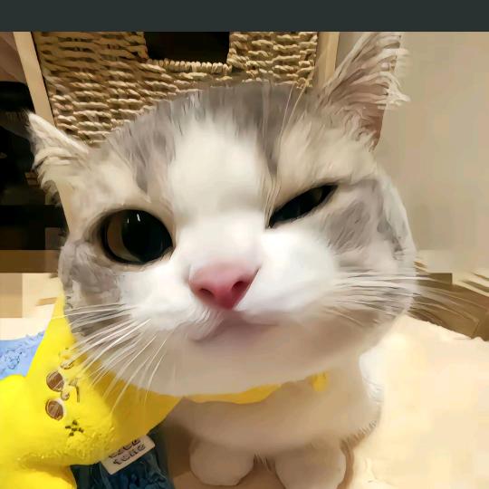 补鹄百货