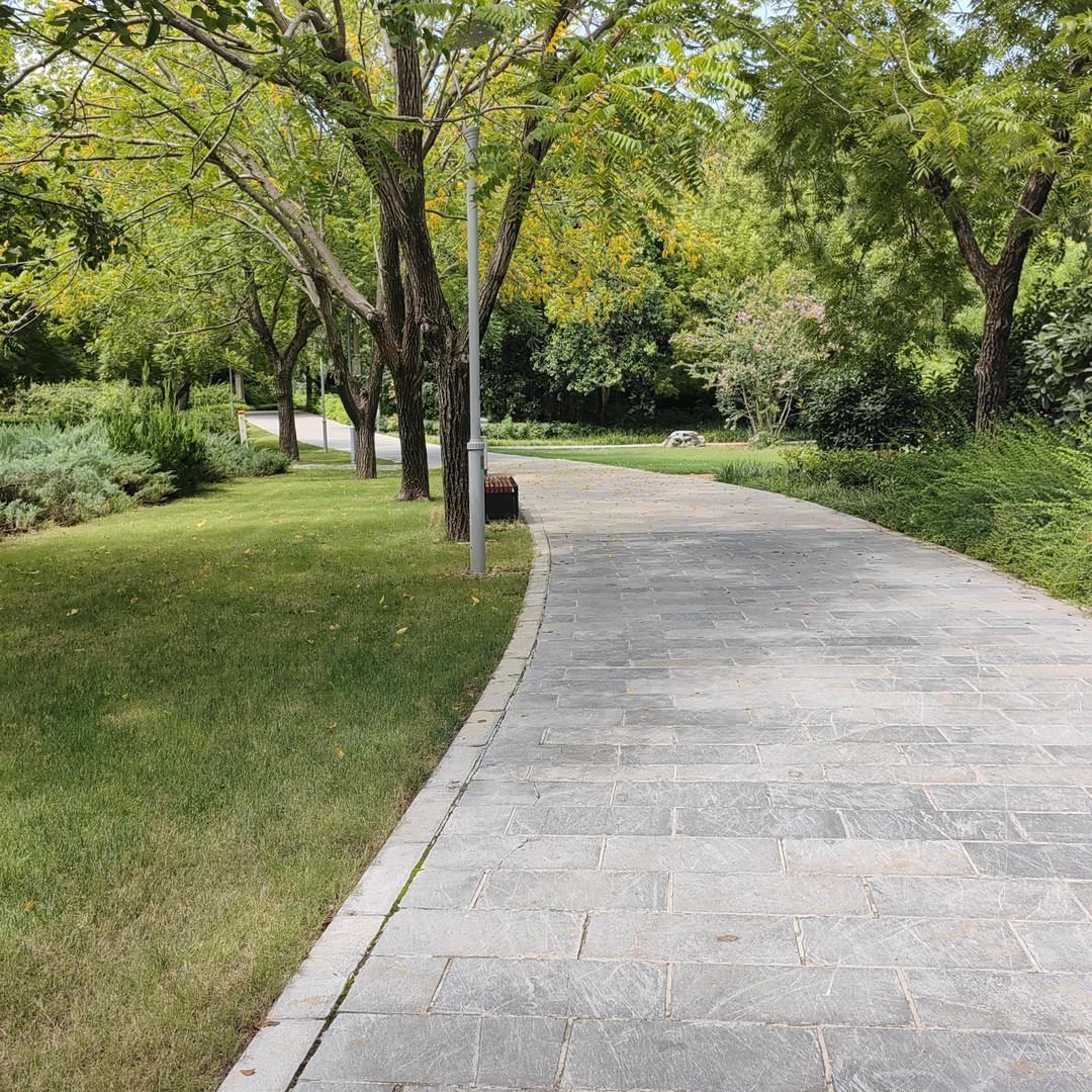 吻过大山的夏天